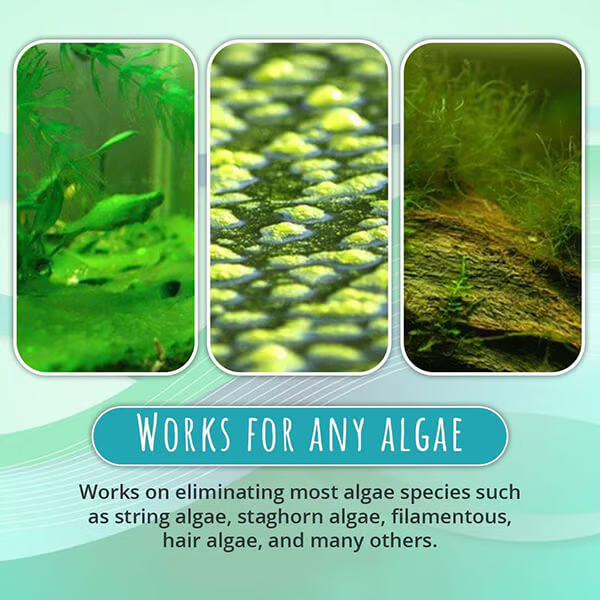 š„48% OFFšNEW Algae Repellent Agent