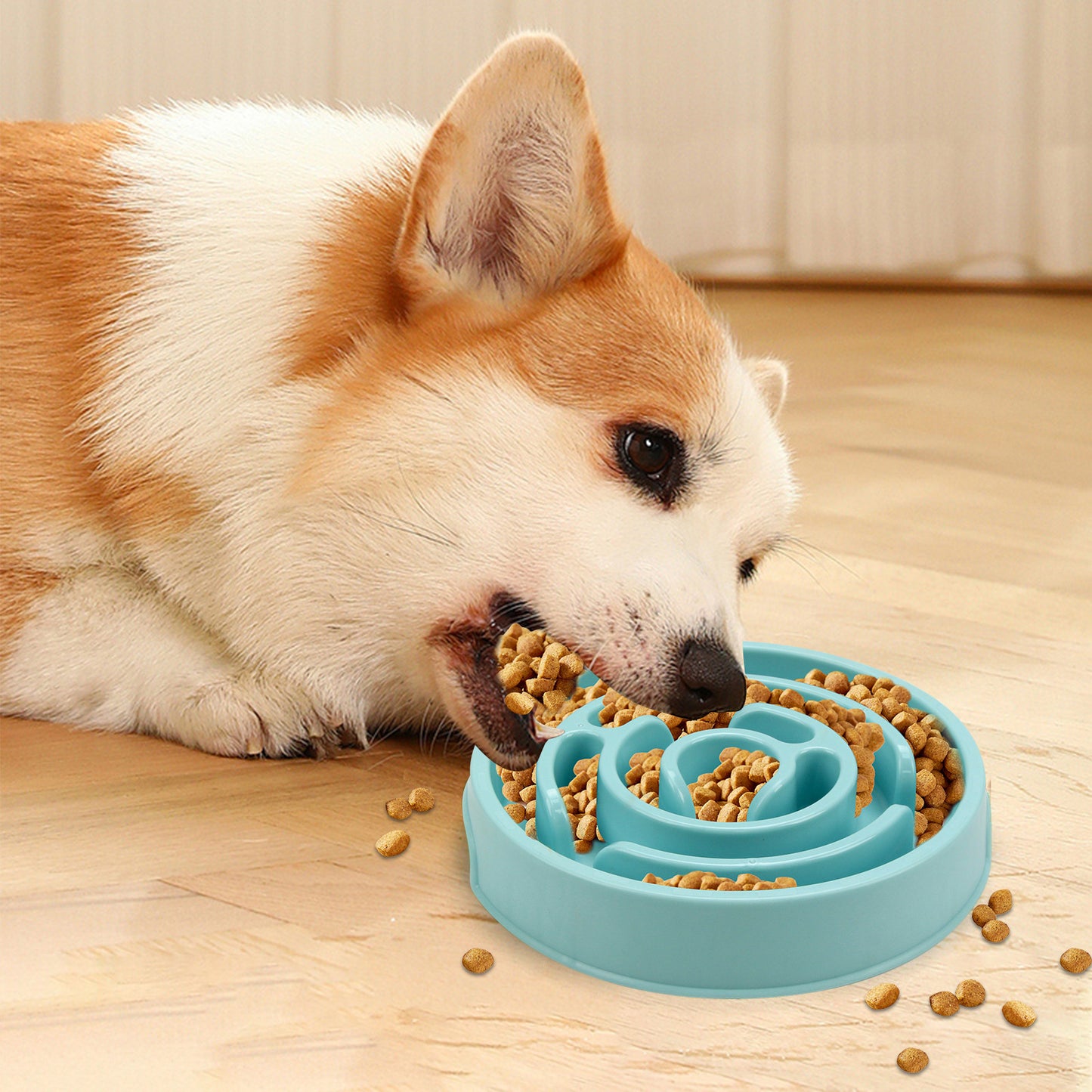 🔥Pet Slow Feeder Bowl