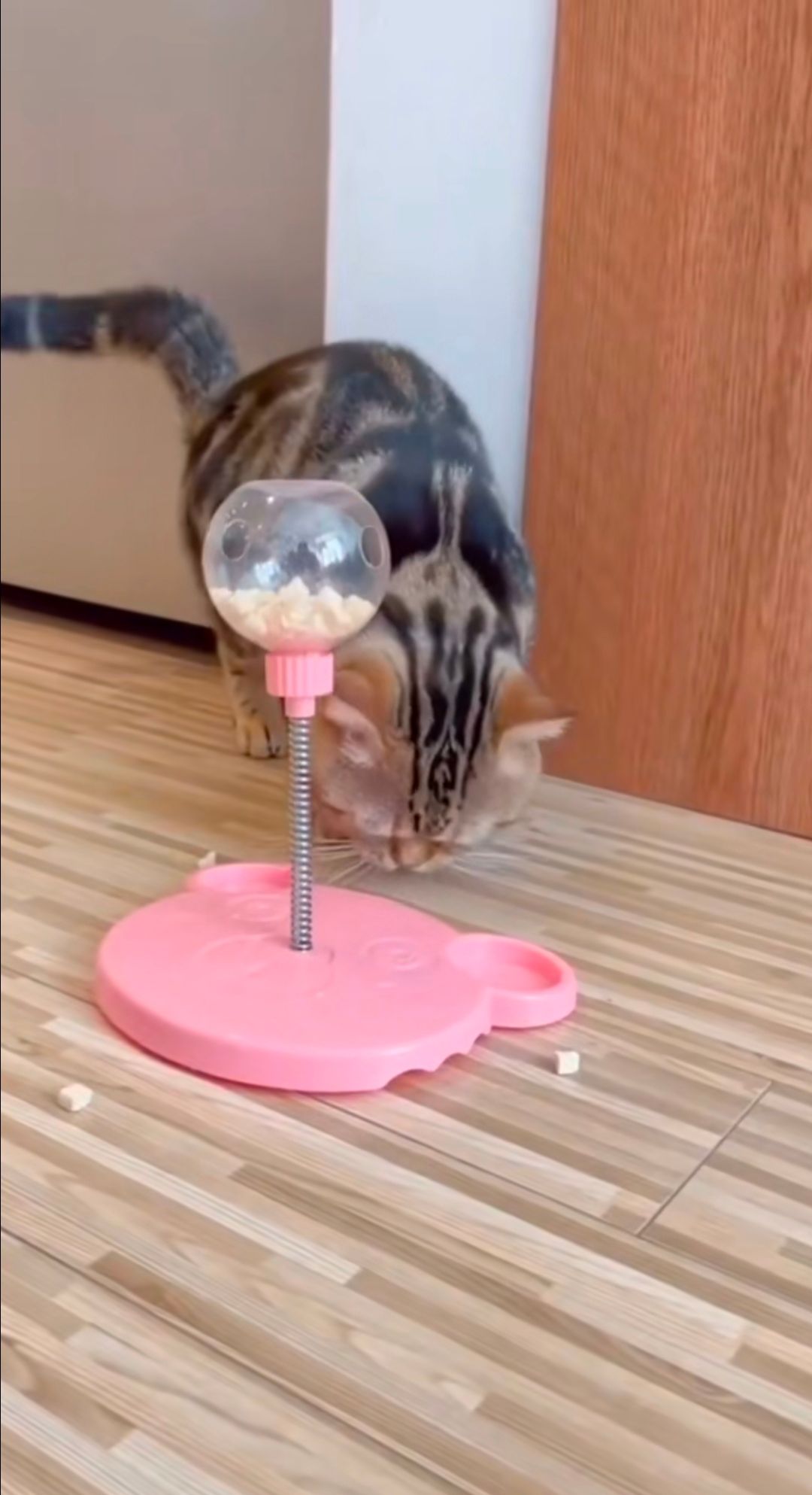 🔥Treat Dispensing Ball Pet Feeder