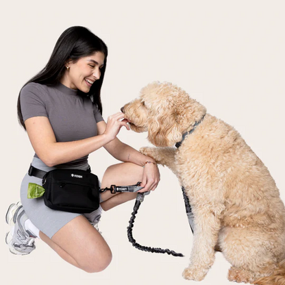 Running Hands Free Waist Bag Dog Leash