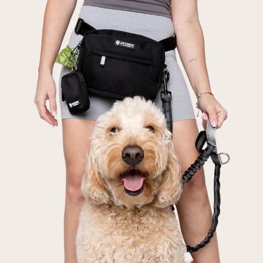 Running Hands Free Waist Bag Dog Leash