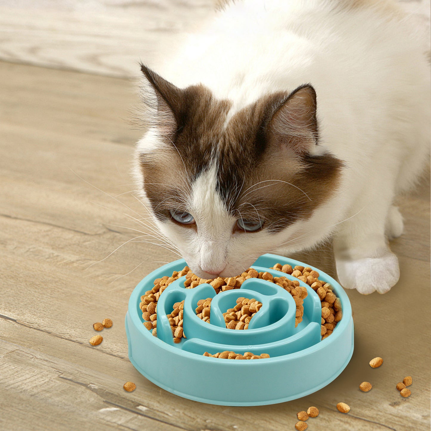 🔥Pet Slow Feeder Bowl
