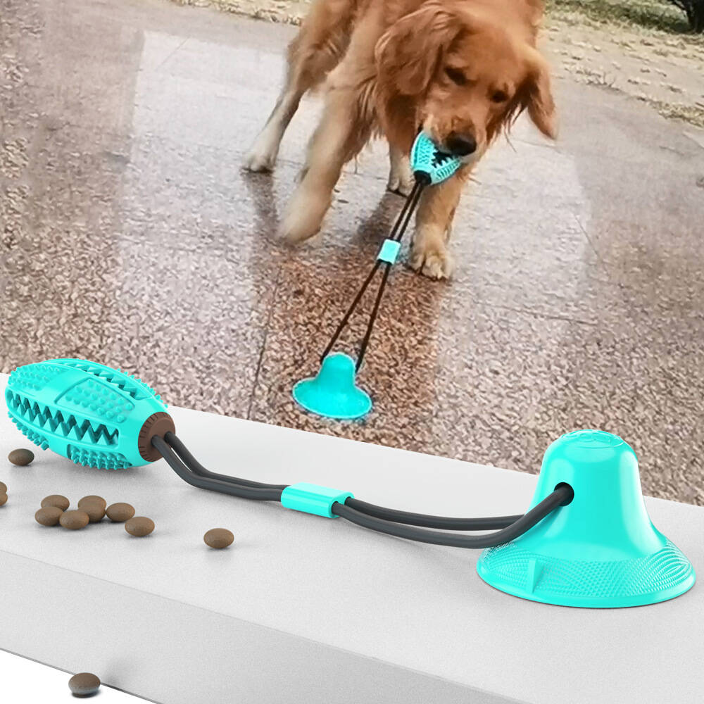 🔥Suction Cup Dog Toy