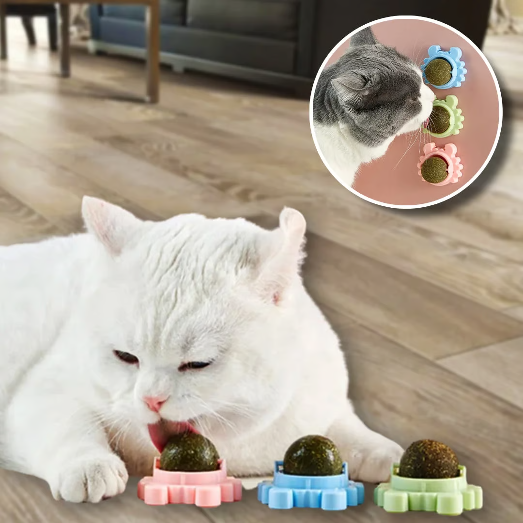 🔥CATNIP WALL BALL