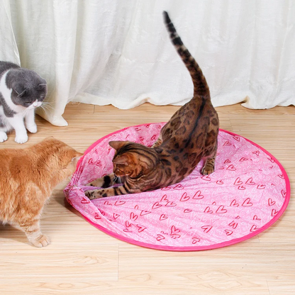 ✨2 in 1 Simulated Interactive hunting cat toy