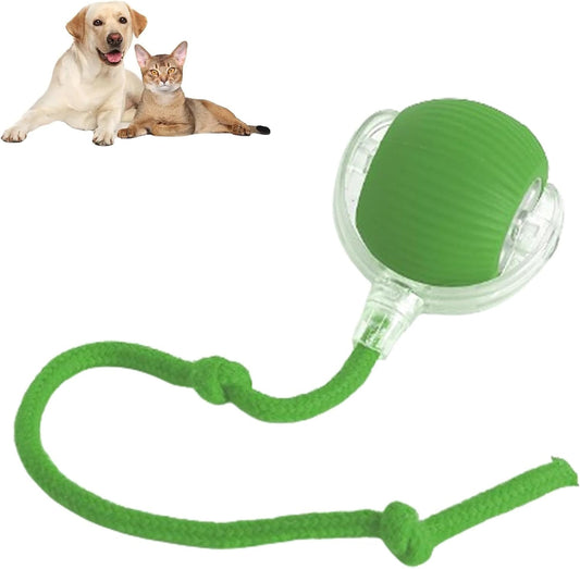 (🔥Hot Sale😸)Smart Chase Pet Toy Ball