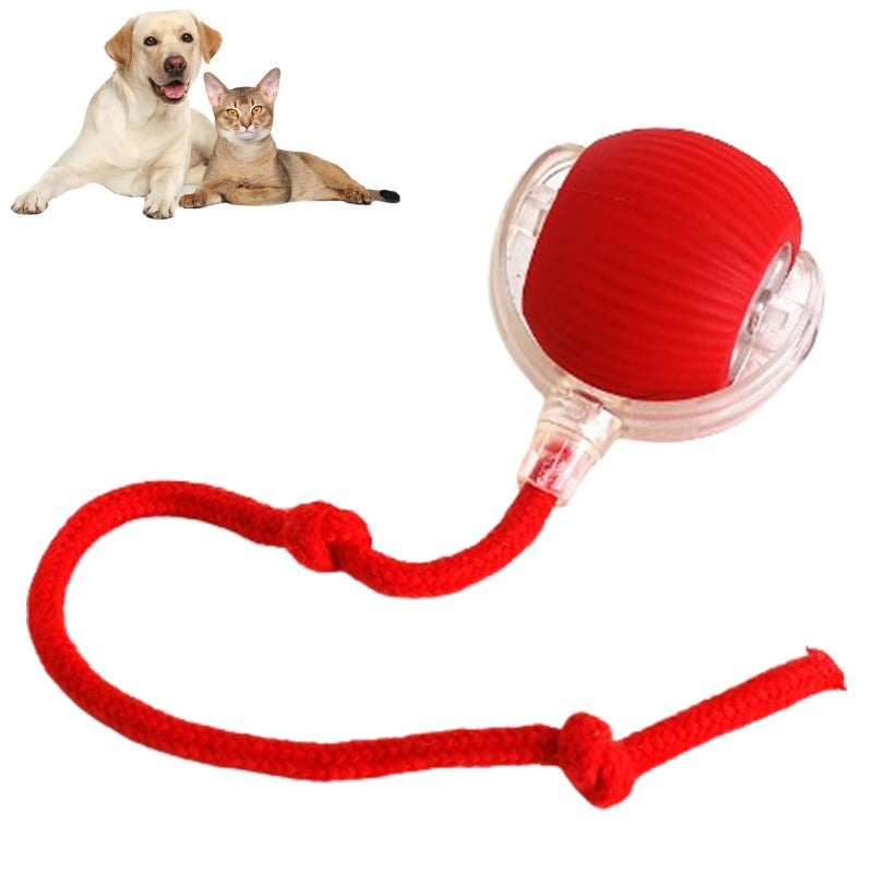 (🔥Hot Sale😸)Smart Chase Pet Toy Ball