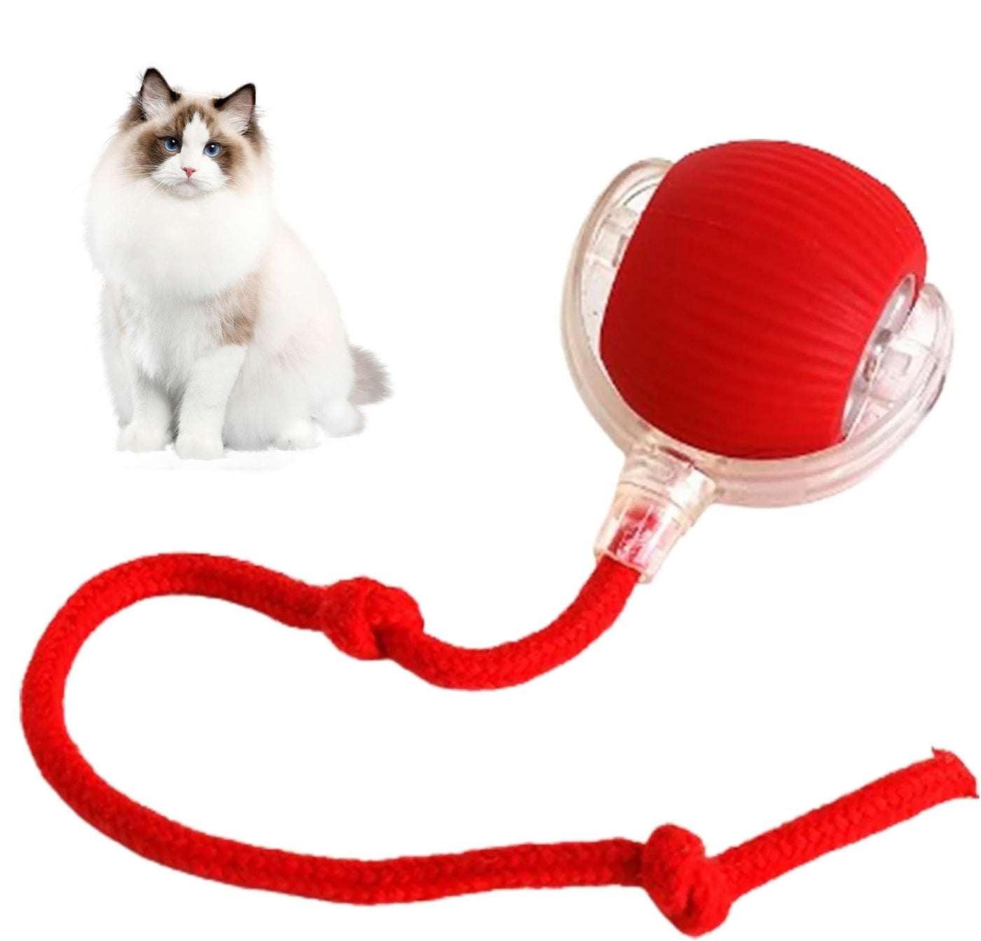 (🔥Hot Sale😸)Smart Chase Pet Toy Ball