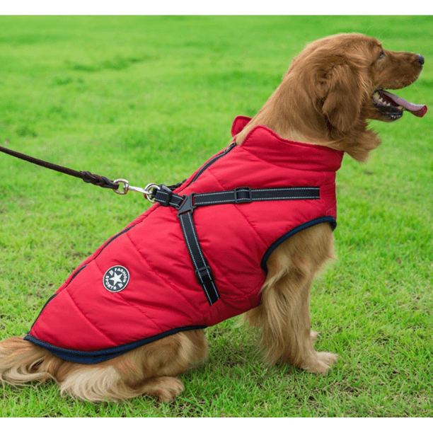 Waterproof Winter Jacket with Built-in Harness