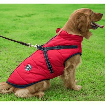 Waterproof Winter Jacket with Built-in Harness