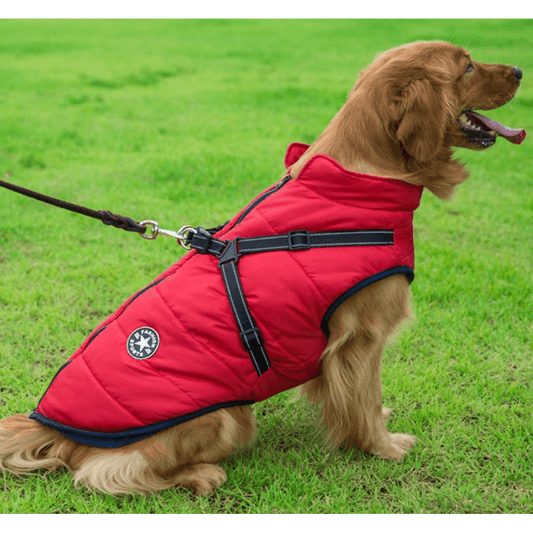 Waterproof Winter Jacket with Built-in Harness