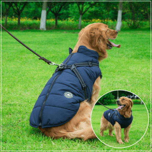 Waterproof Winter Jacket with Built-in Harness