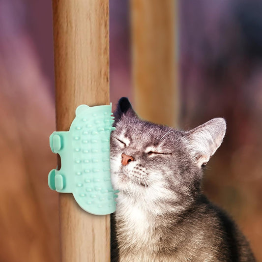 🔥Cat Tickle Brush