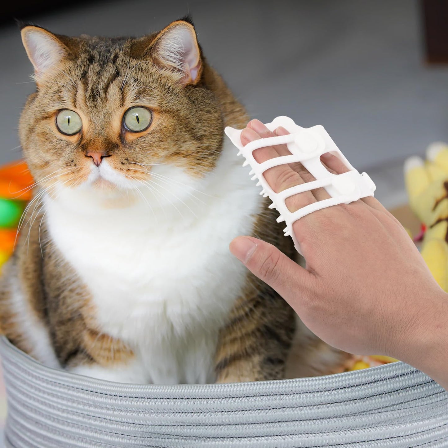 🔥Cat Tickle Brush