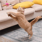 🔥Free hands collar cat teaser stick😻
