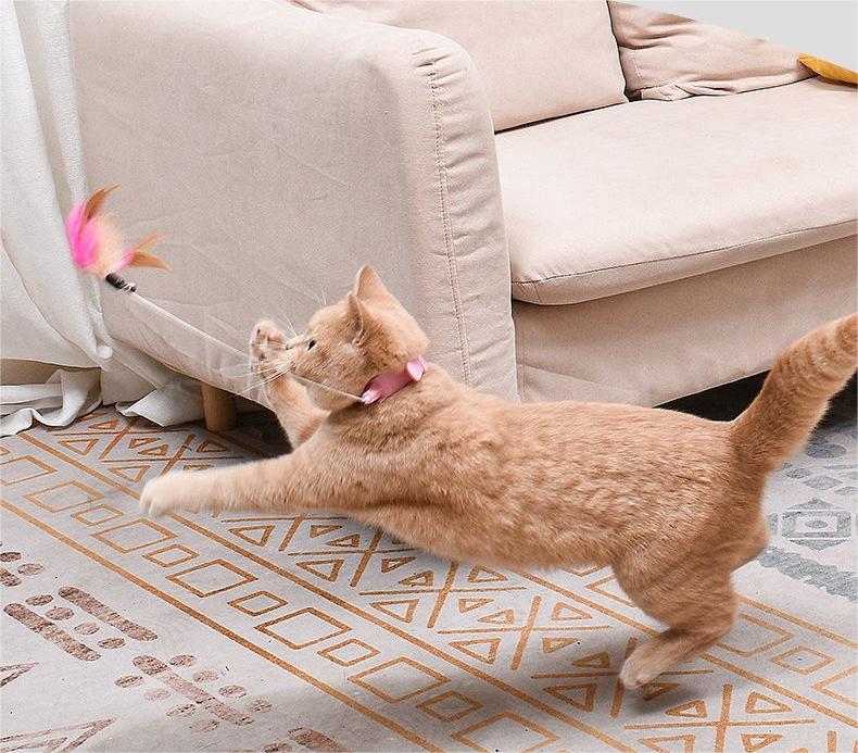 🔥Free hands collar cat teaser stick😻