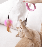 🔥Free hands collar cat teaser stick😻