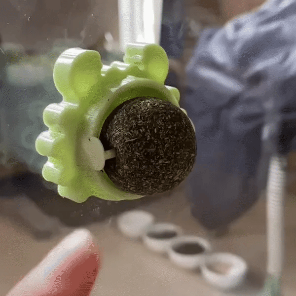 🔥CATNIP WALL BALL