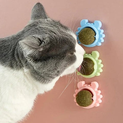 🔥CATNIP WALL BALL