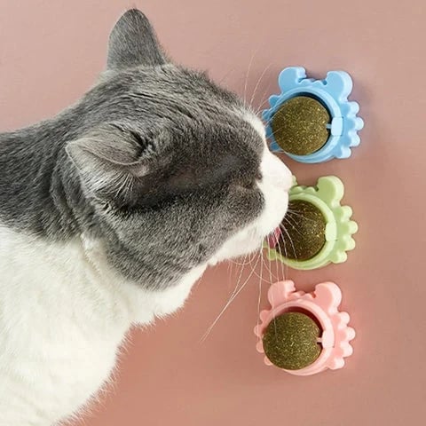 🔥CATNIP WALL BALL