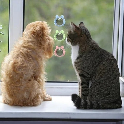 🔥CATNIP WALL BALL