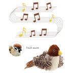 🔥Interactive chirping bird cat toy 😸