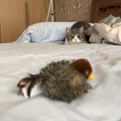 🔥Interactive chirping bird cat toy 😸