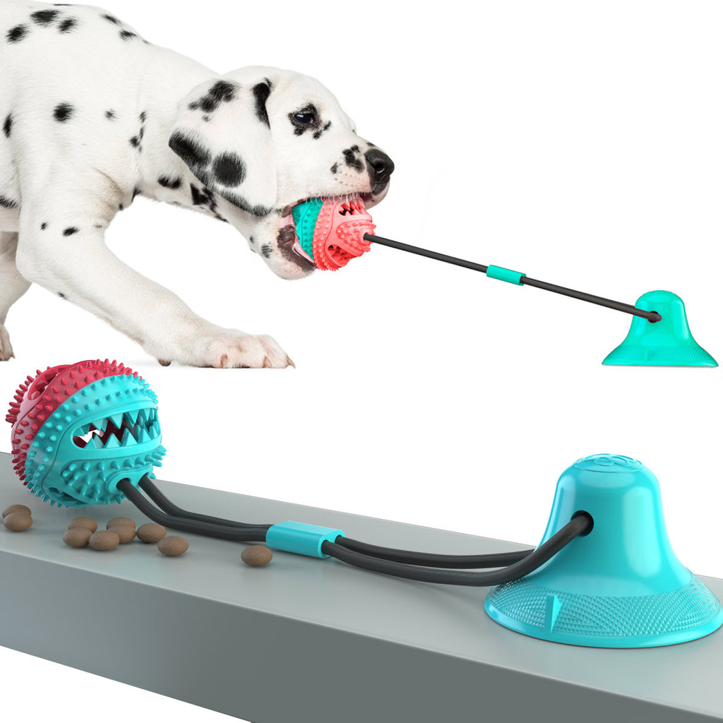 🔥Suction Cup Dog Toy
