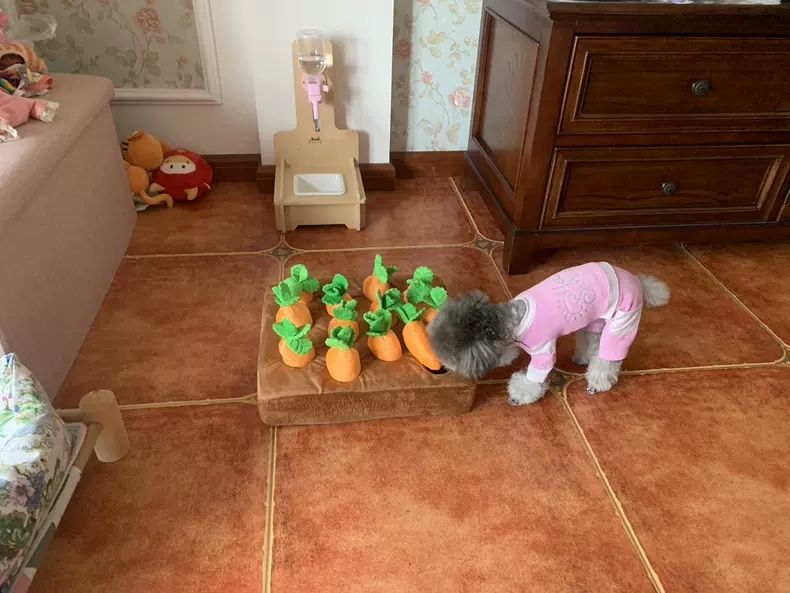 Carrot Farm Dog Durable Chew Sniff Toy