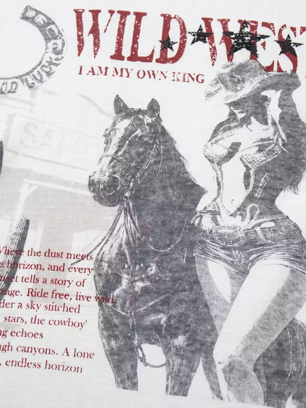 Vintage Western Graphic Long Sleeve Tee